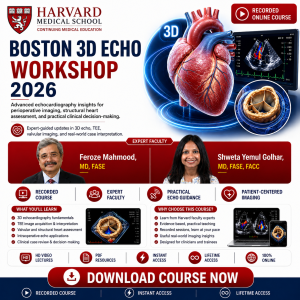 Harvard Boston 3D Echo Workshop 2026