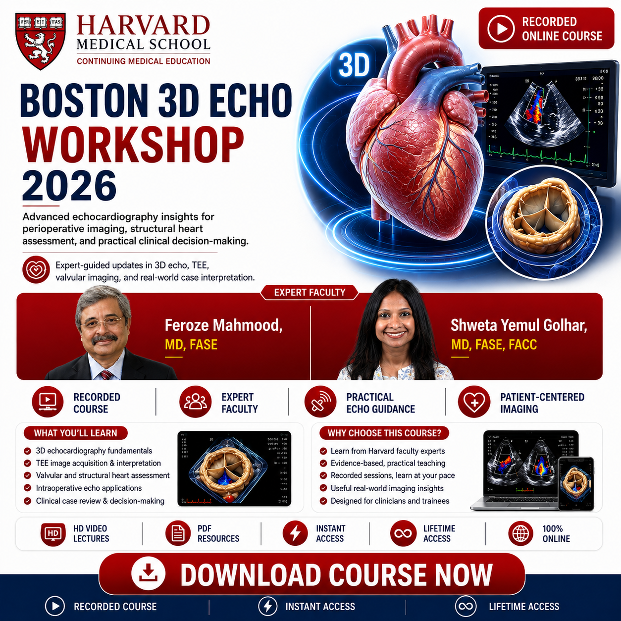 Harvard Boston 3D Echo Workshop 2026