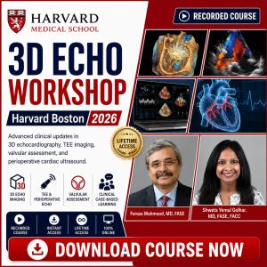 Harvard Boston 3D Echo Workshop 2026 recorded course cover