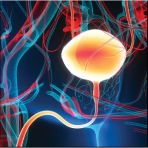 Oakstone Update in Urologic Oncology 2026